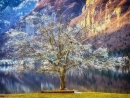 Bohinj-4_mini